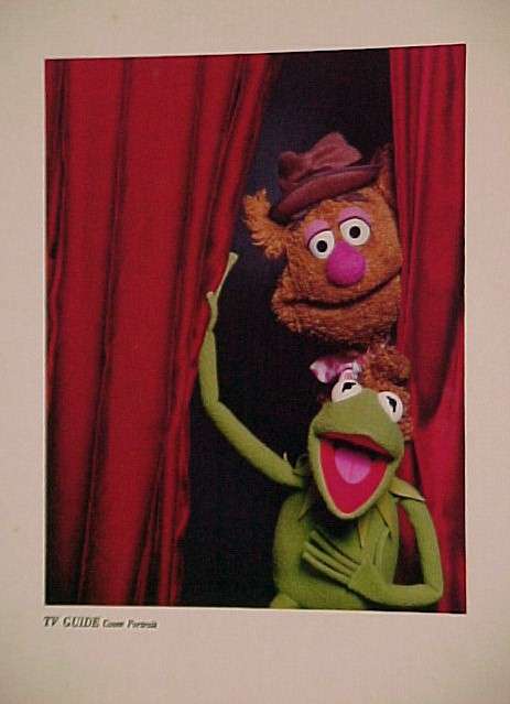 tv-themuppets.jpg